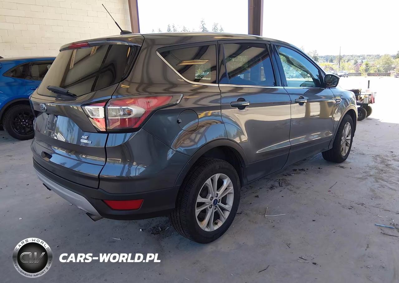 2017 Ford Escape Se VIN:1FMCU9G93HUB04153 - 4
