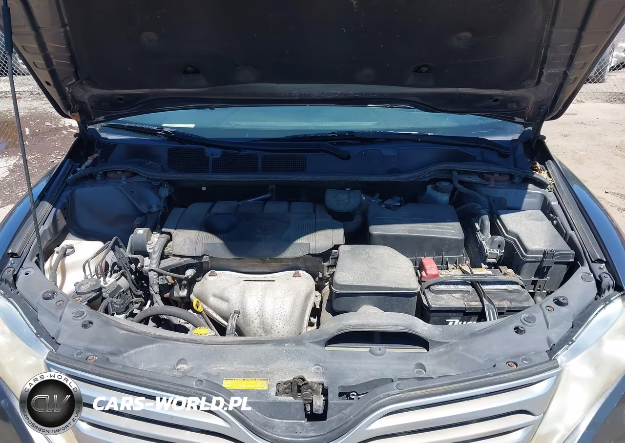 2010 Toyota Venza VIN:4T3ZA3BB9AU037467 - 10