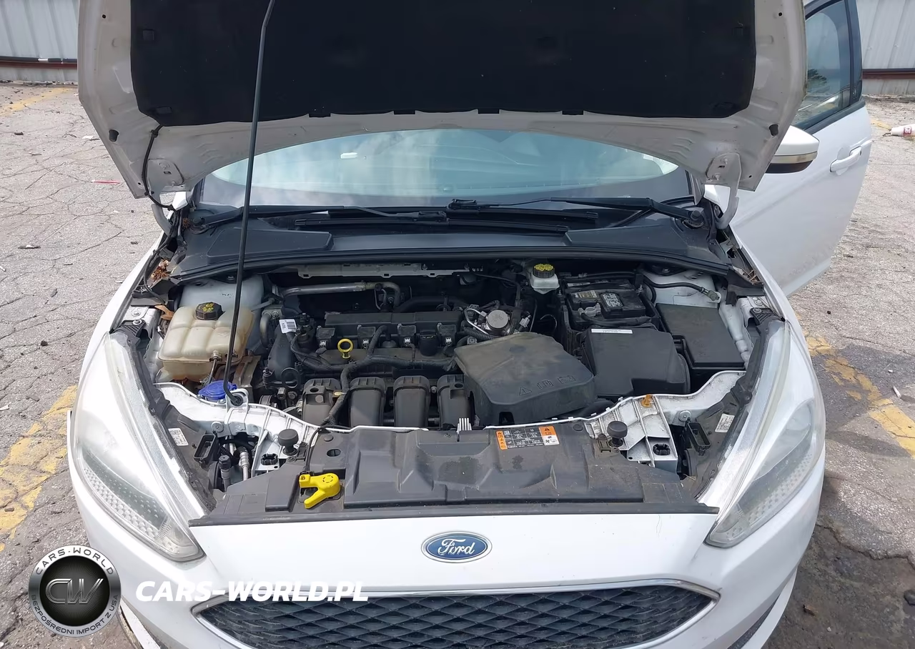 2017 Ford Focus Se VIN:1FADP3K25HL336272 - 10