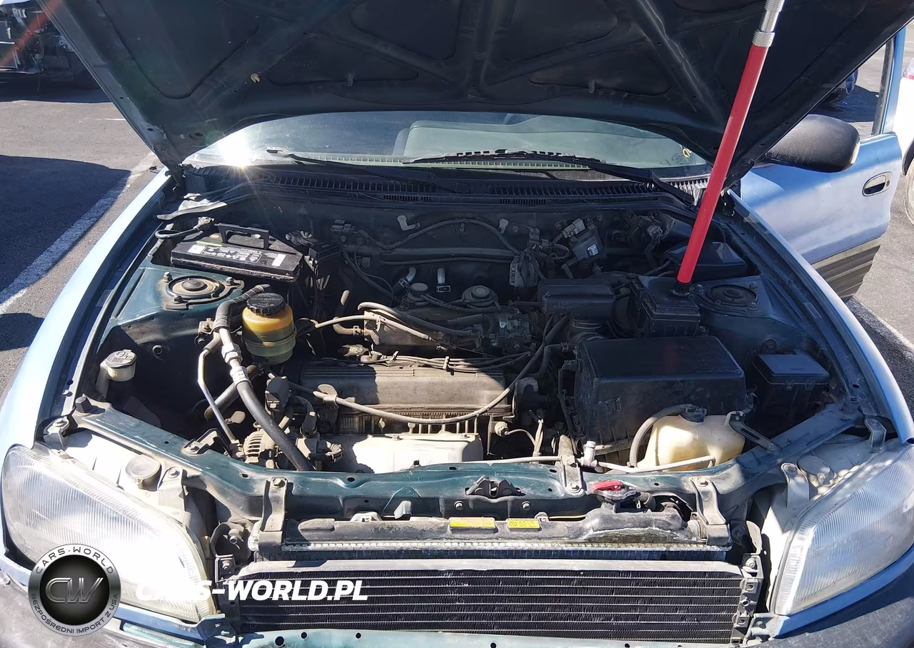 1997 Toyota Rav4 VIN:JT3GP10VXV0016052 - 10