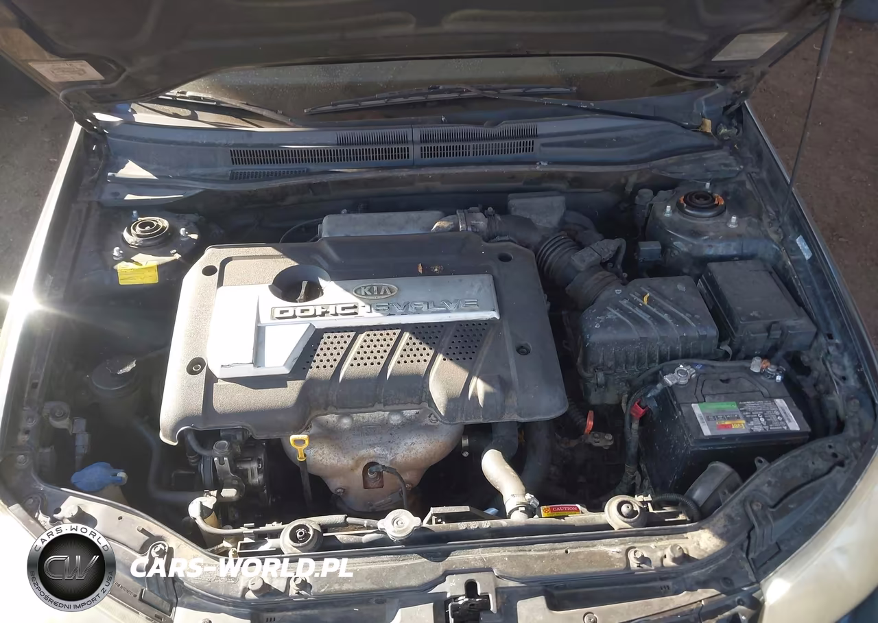2006 Kia Spectra Ex-Lx-Sx VIN:KNAFE121665321900 - 10