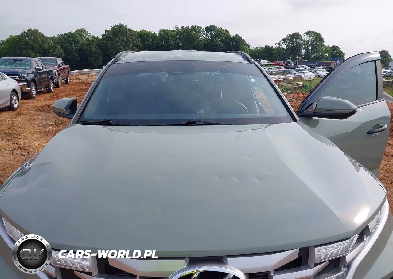 2024 Hyundai Santa Cruz Sel VIN:5NTJCDAE0RH084593 - 6