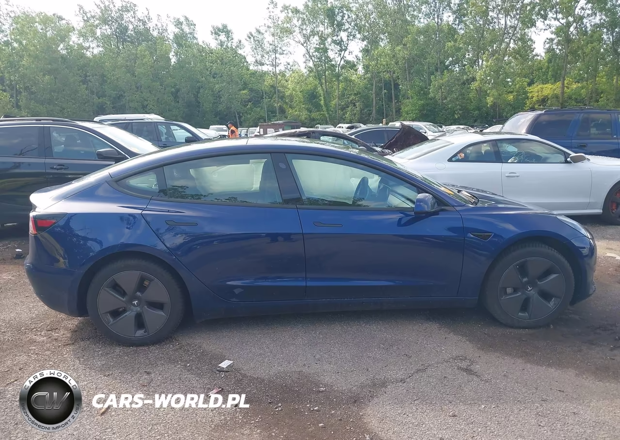 2023 Tesla Model 3 Rear-Wheel Drive VIN:5YJ3E1EAXPF682192 - 11