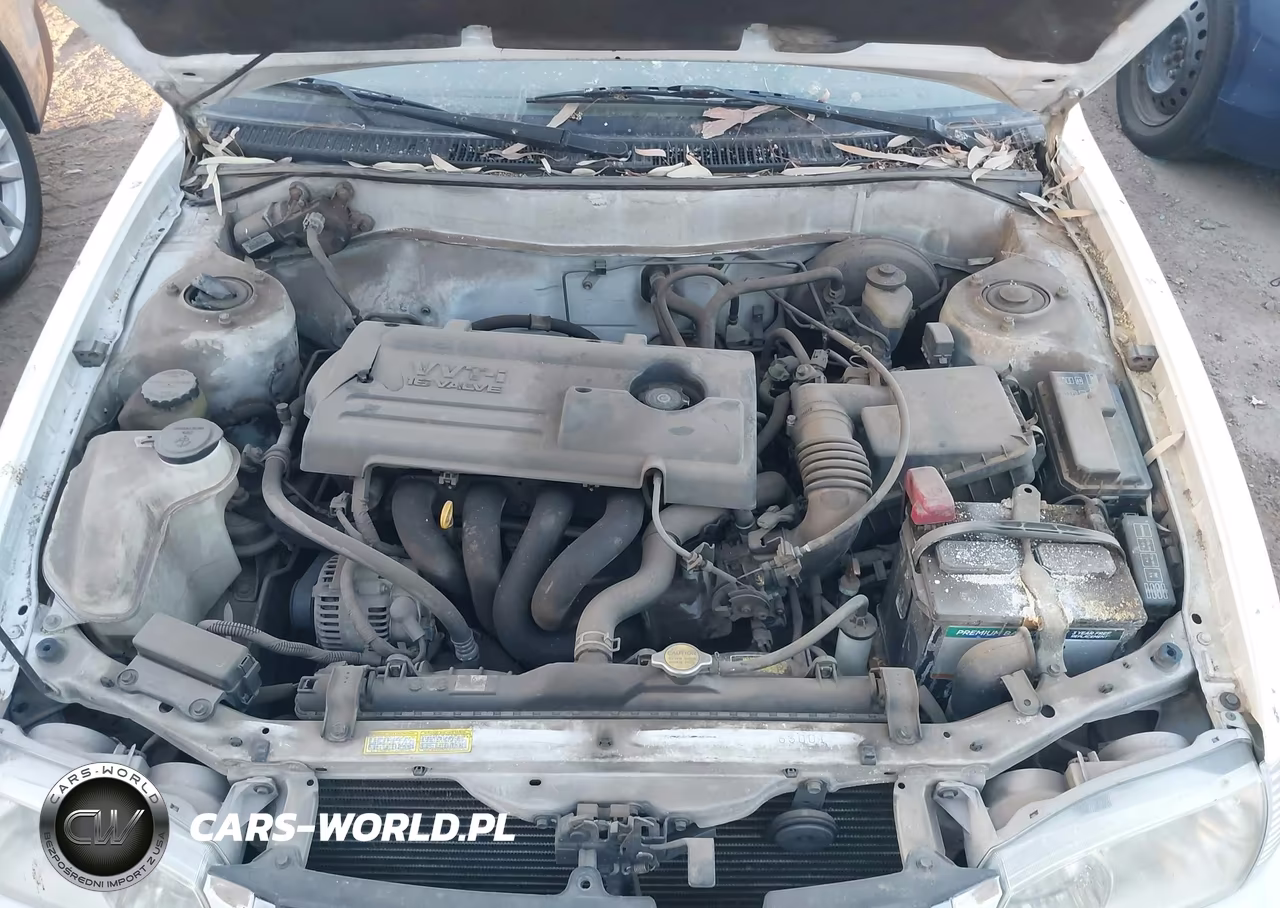 2002 Toyota Corolla Ce VIN:1NXBR12E62Z610263 - 10
