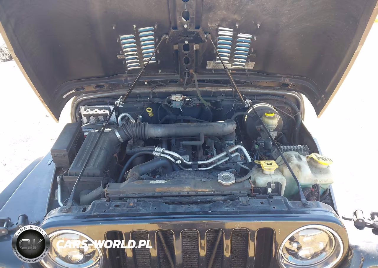2003 Jeep Wrangler X VIN:1J4FA39S73P360806 - 10