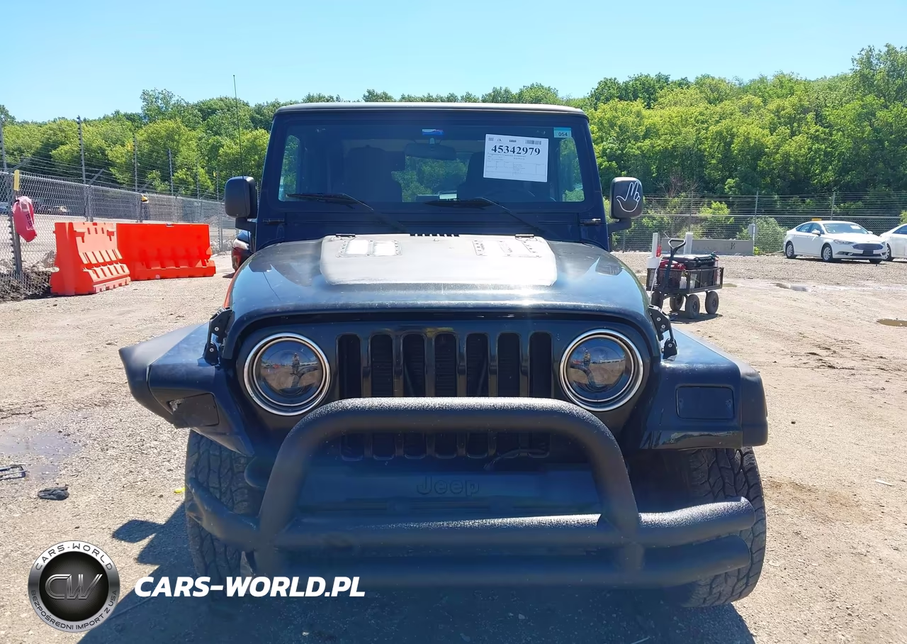 2003 Jeep Wrangler X VIN:1J4FA39S73P360806 - 12