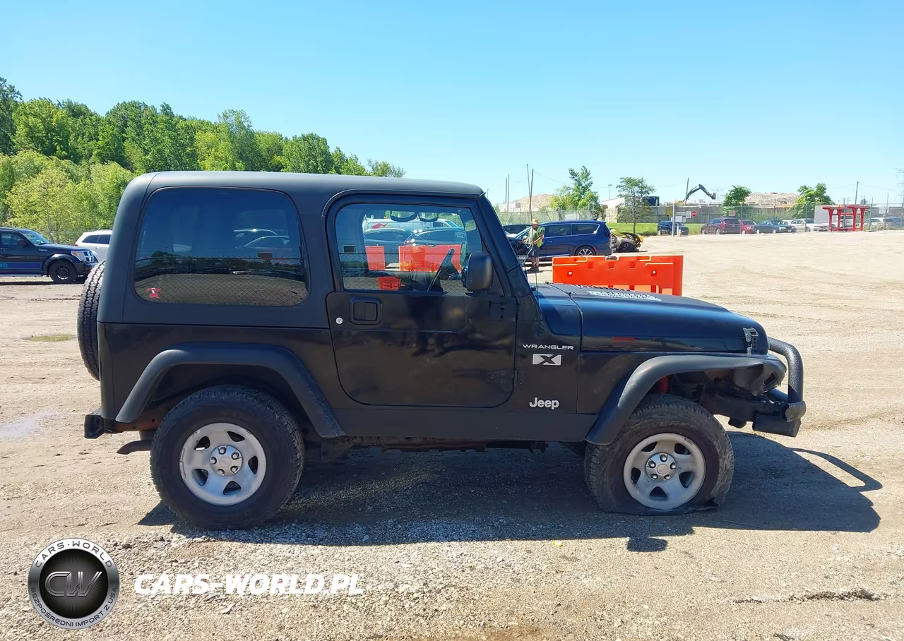 2003 Jeep Wrangler X VIN:1J4FA39S73P360806 - 13