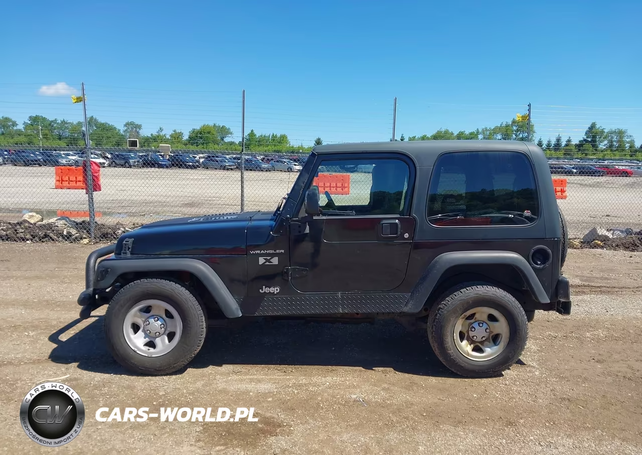 2003 Jeep Wrangler X VIN:1J4FA39S73P360806 - 14