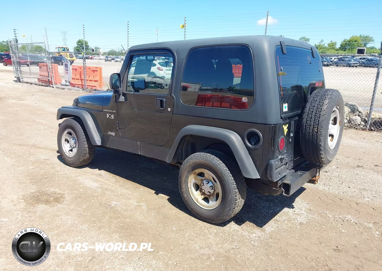 2003 Jeep Wrangler X VIN:1J4FA39S73P360806 - 3