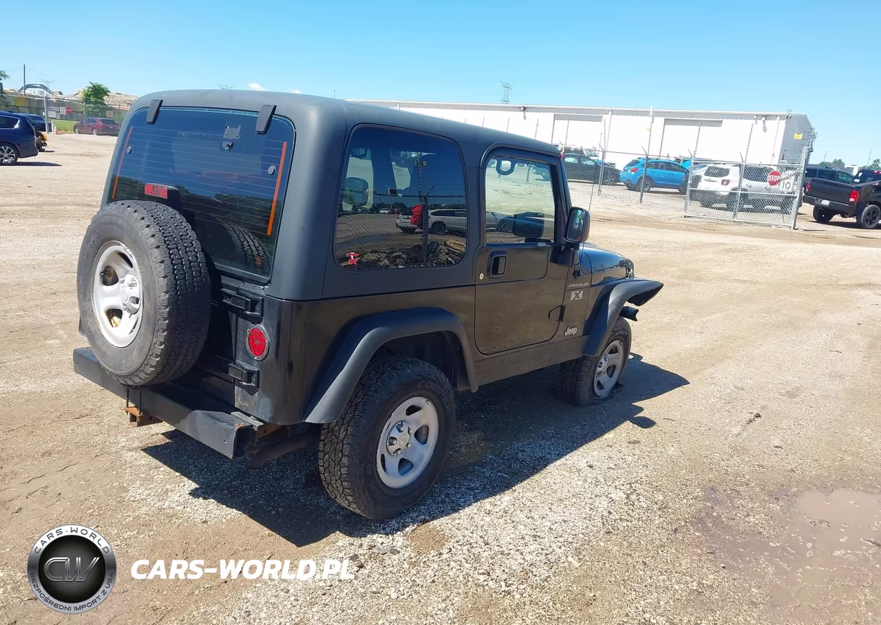 2003 Jeep Wrangler X VIN:1J4FA39S73P360806 - 4