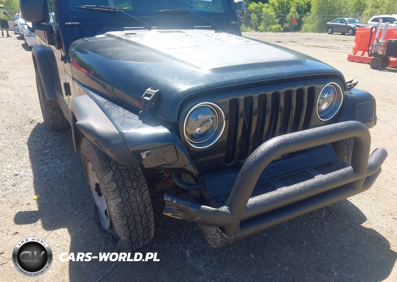 2003 Jeep Wrangler X VIN:1J4FA39S73P360806 - 6