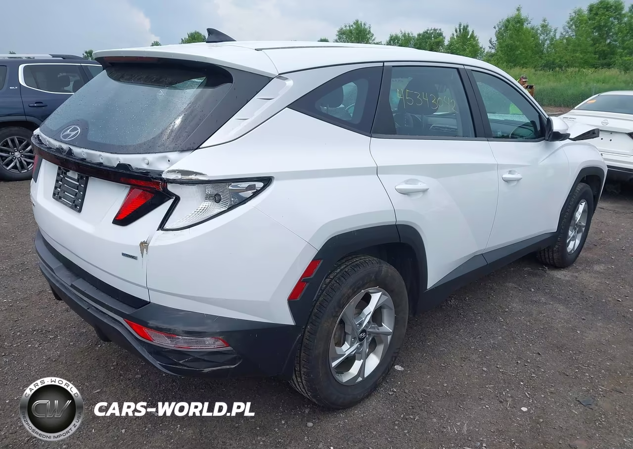 2022 Hyundai Tucson Se VIN:5NMJACAE7NH024915 - 4