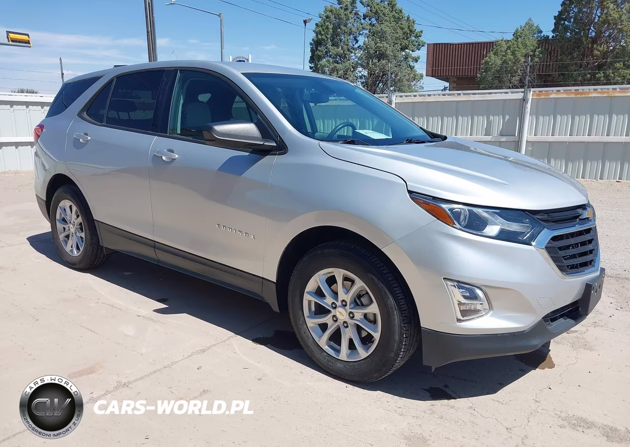 2018 Chevrolet Equinox Ls – zdjęcie 1 z 20