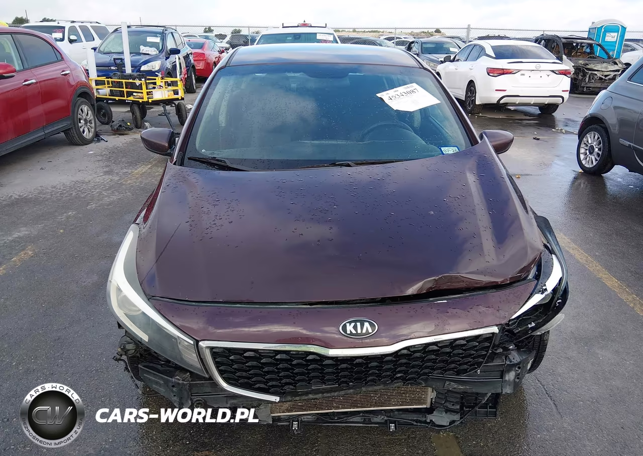 2017 Kia Forte Lx VIN:3KPFL4A76HE061229 - 13