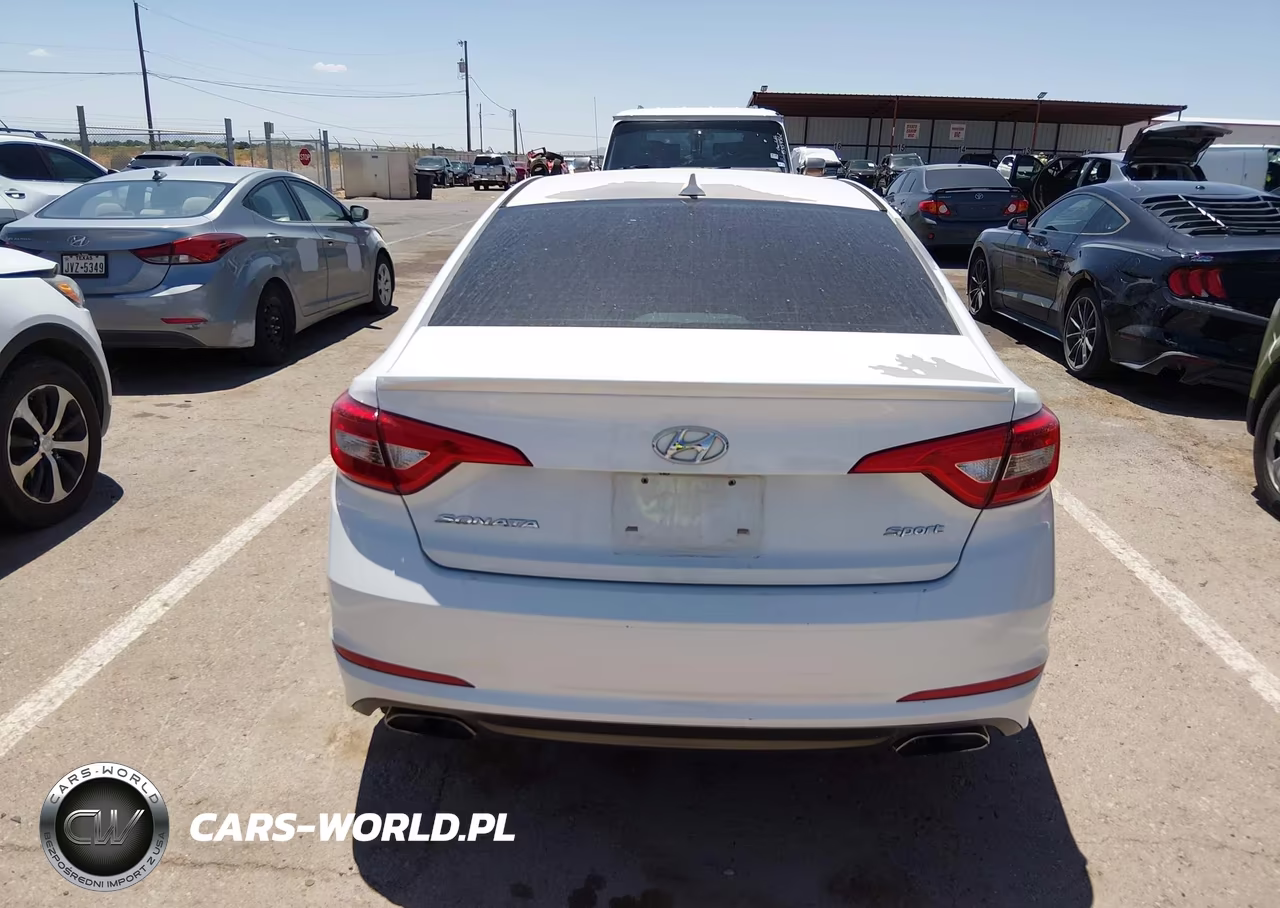 2016 Hyundai Sonata Sport VIN:5NPE34AF7GH288393 - 16