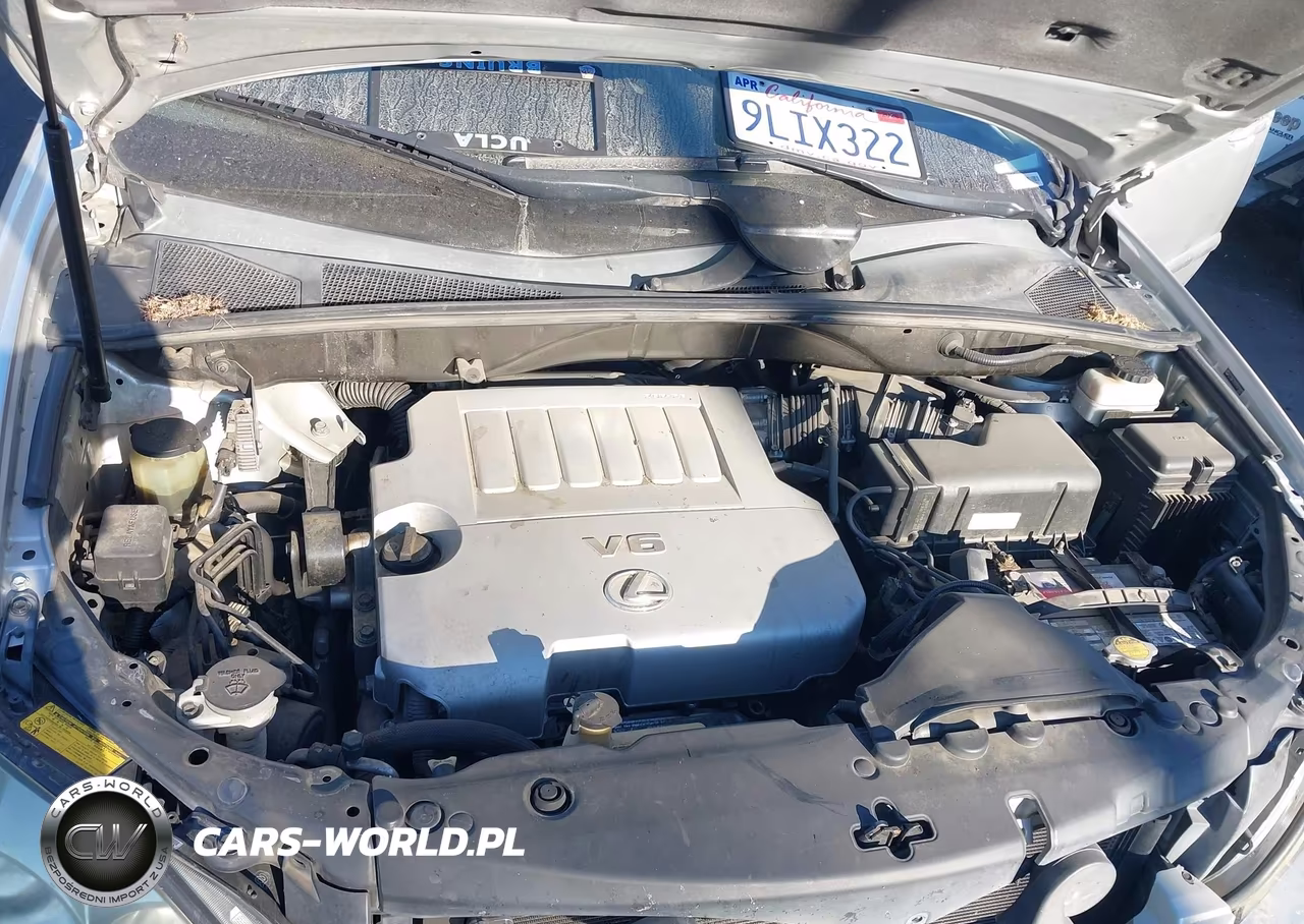 2007 Lexus Rx 350 VIN:2T2GK31U37C013025 - 10