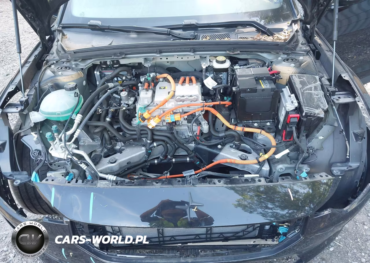 2024 Polestar 2 Long Range Dual Motor-Long Range Dual Motor Plus VIN:YSMFD3KA8RL222453 - 10