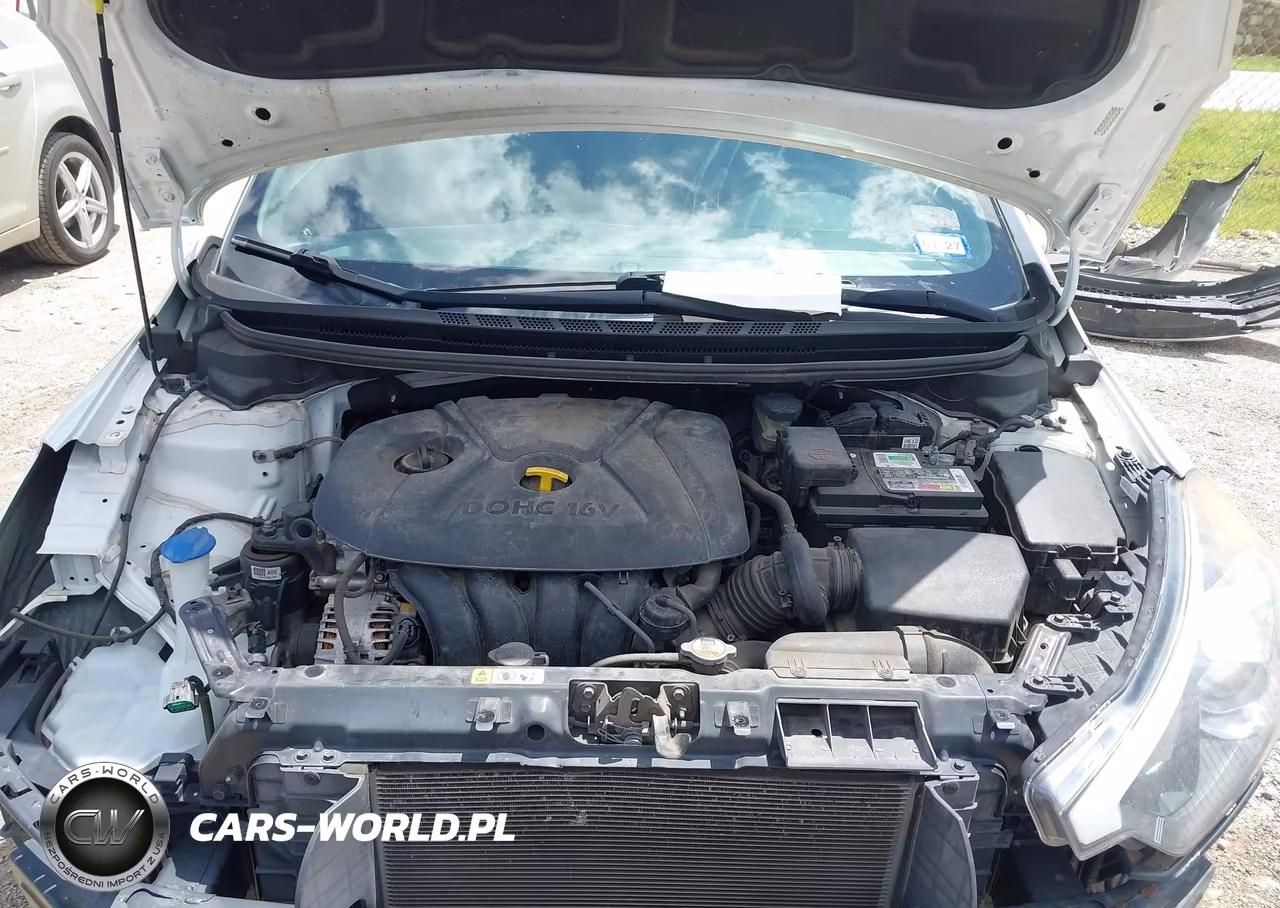 2016 Kia Forte Lx VIN:KNAFX4A63G5497152 - 10