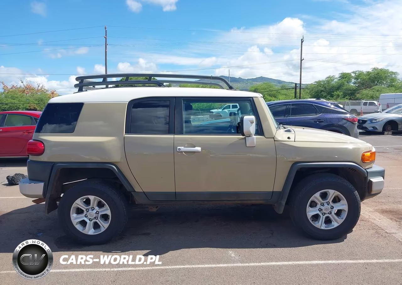2014 Toyota Fj Cruiser VIN:JTEBU4BF6EK187550 - 13