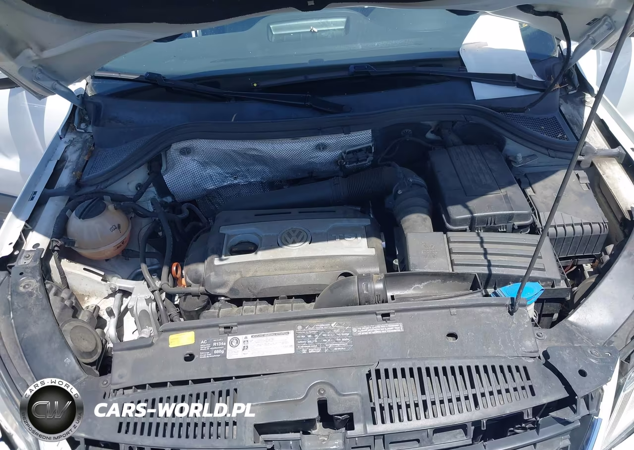 2011 Volkswagen Tiguan Sel VIN:WVGBV7AX6BW534596 - 10