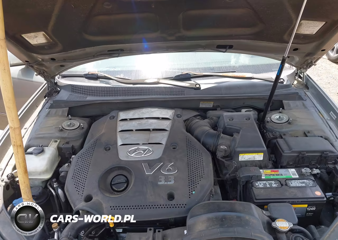 2007 Hyundai Sonata Limited-Limited W-Xm-Se-Se W-Xm VIN:5NPEU46F27H192547 - 10