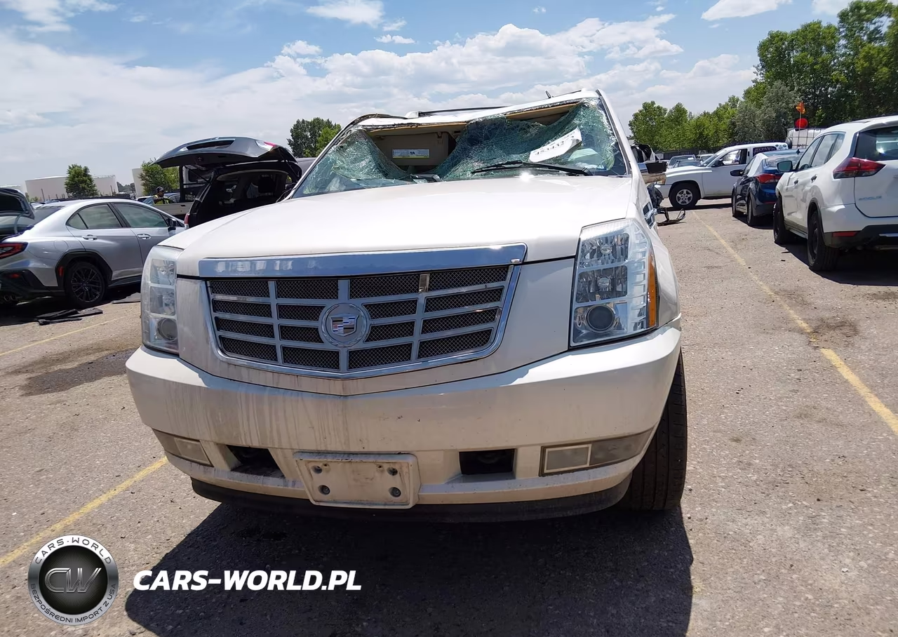 2011 Cadillac Escalade Luxury VIN:1GYS3BEF2BR111635 - 12