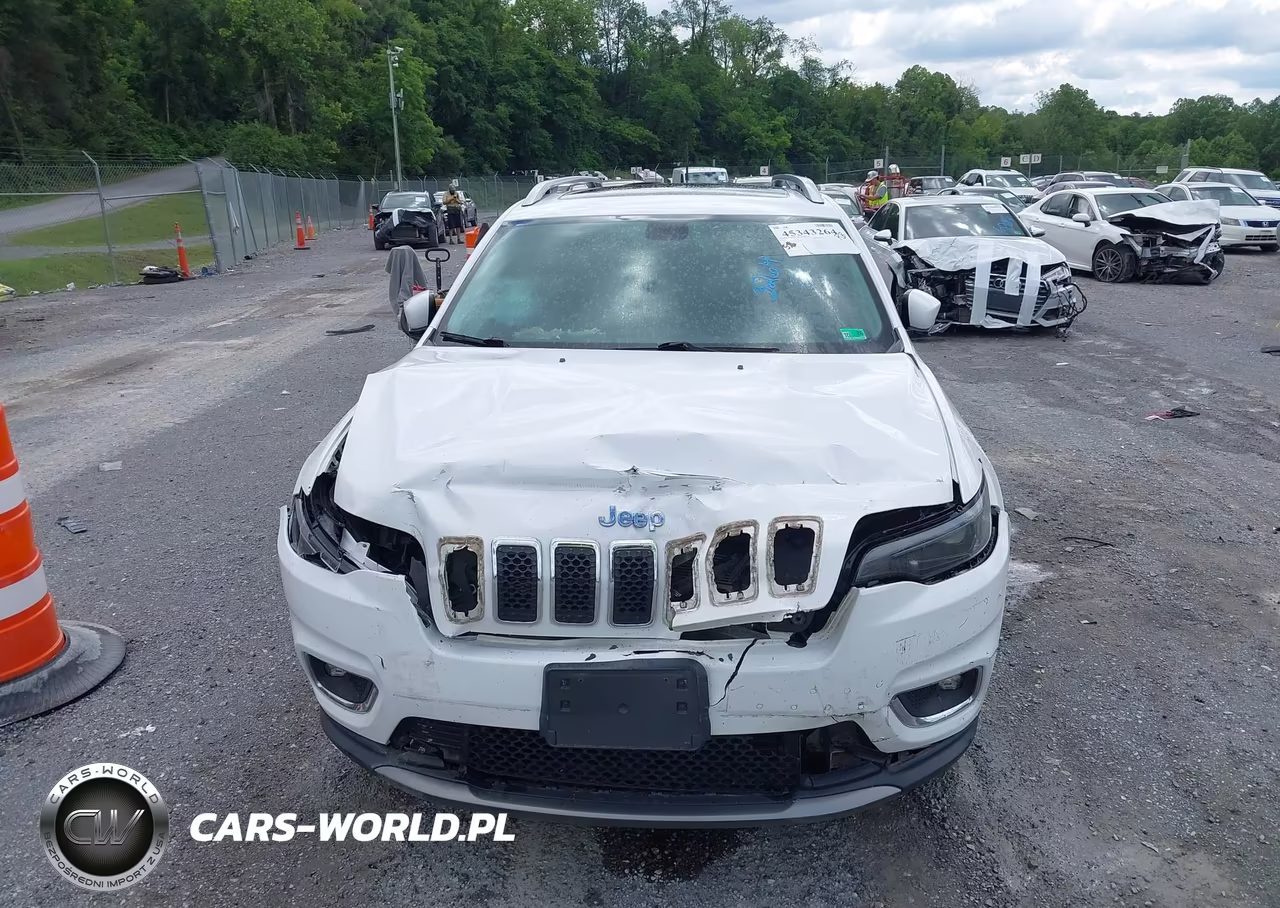 2019 Jeep Cherokee Limited 4X4 VIN:1C4PJMDX2KD236610 - 12