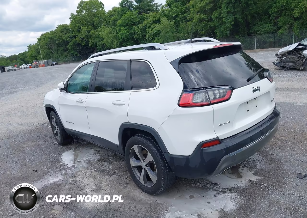 2019 Jeep Cherokee Limited 4X4 VIN:1C4PJMDX2KD236610 - 3