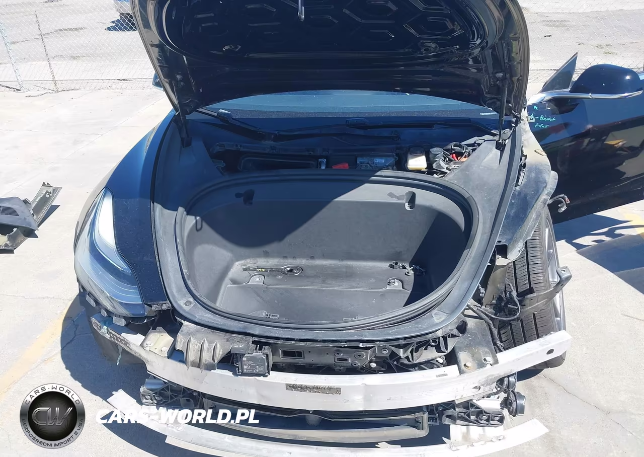 2019 Tesla Model 3 Long Range-Mid Range-Standard Range-Standard Range Plus VIN:5YJ3E1EA6KF306100 - 10