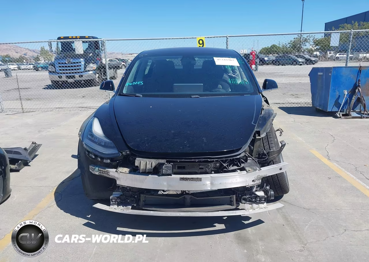 2019 Tesla Model 3 Long Range-Mid Range-Standard Range-Standard Range Plus VIN:5YJ3E1EA6KF306100 - 13
