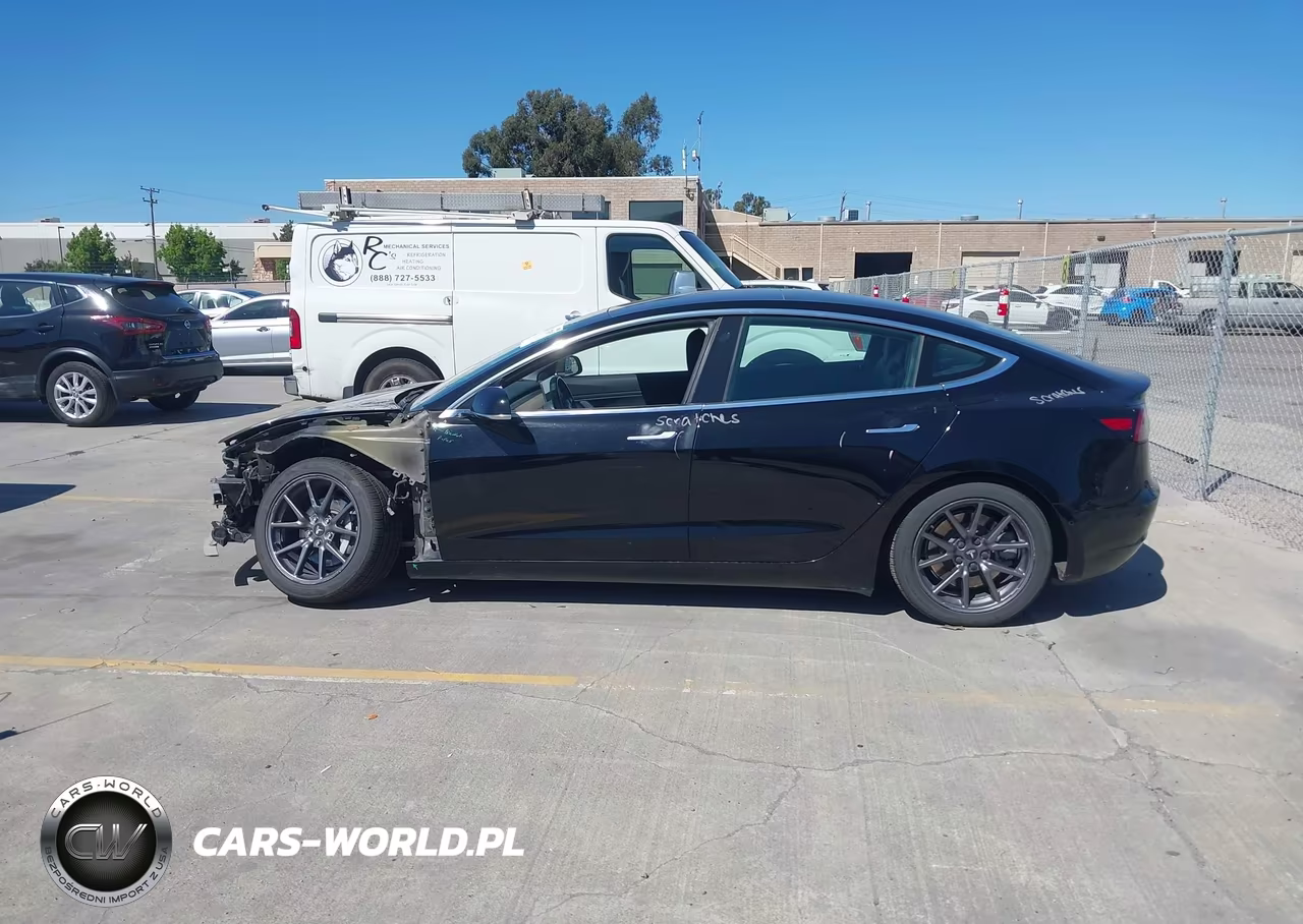 2019 Tesla Model 3 Long Range-Mid Range-Standard Range-Standard Range Plus VIN:5YJ3E1EA6KF306100 - 15