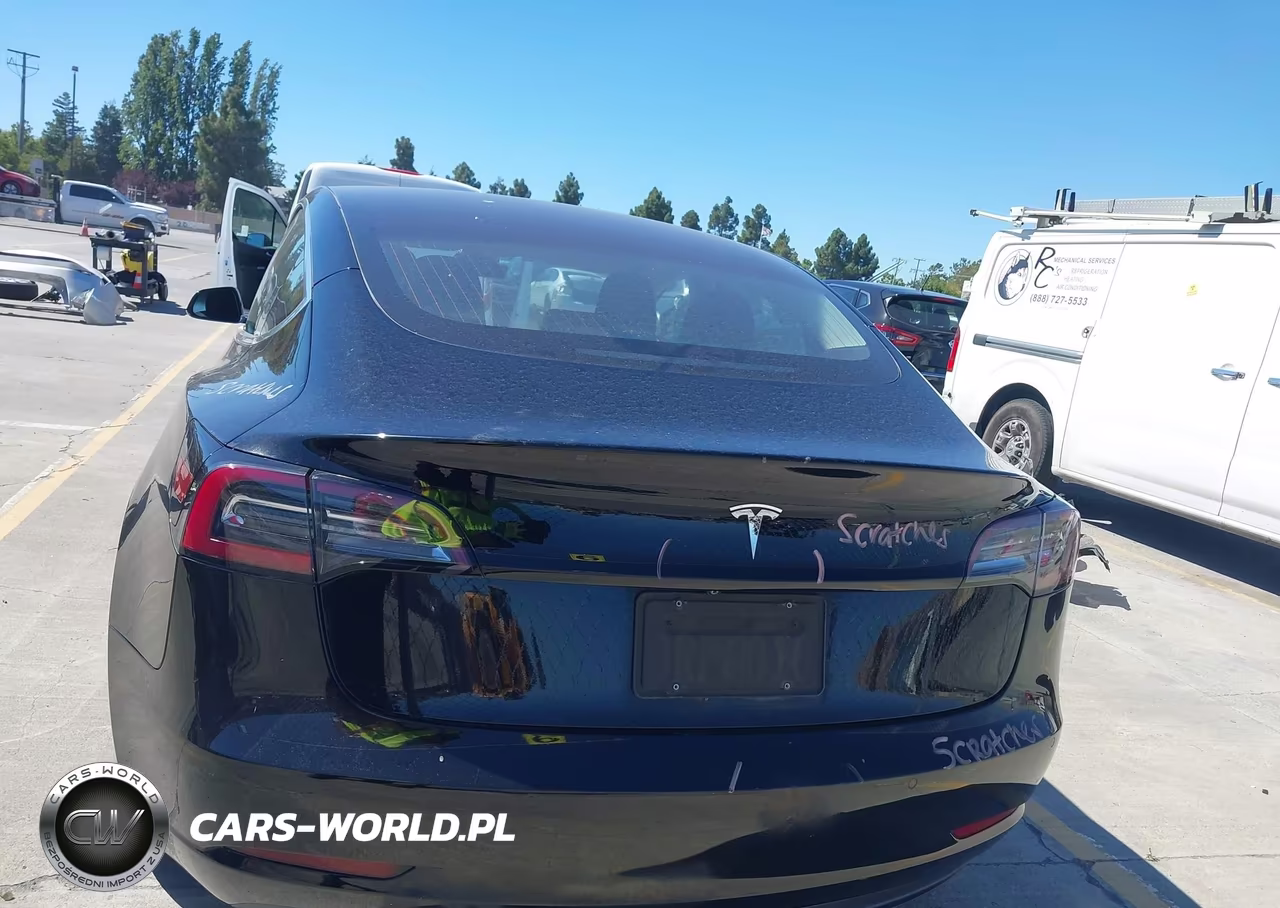 2019 Tesla Model 3 Long Range-Mid Range-Standard Range-Standard Range Plus VIN:5YJ3E1EA6KF306100 - 17