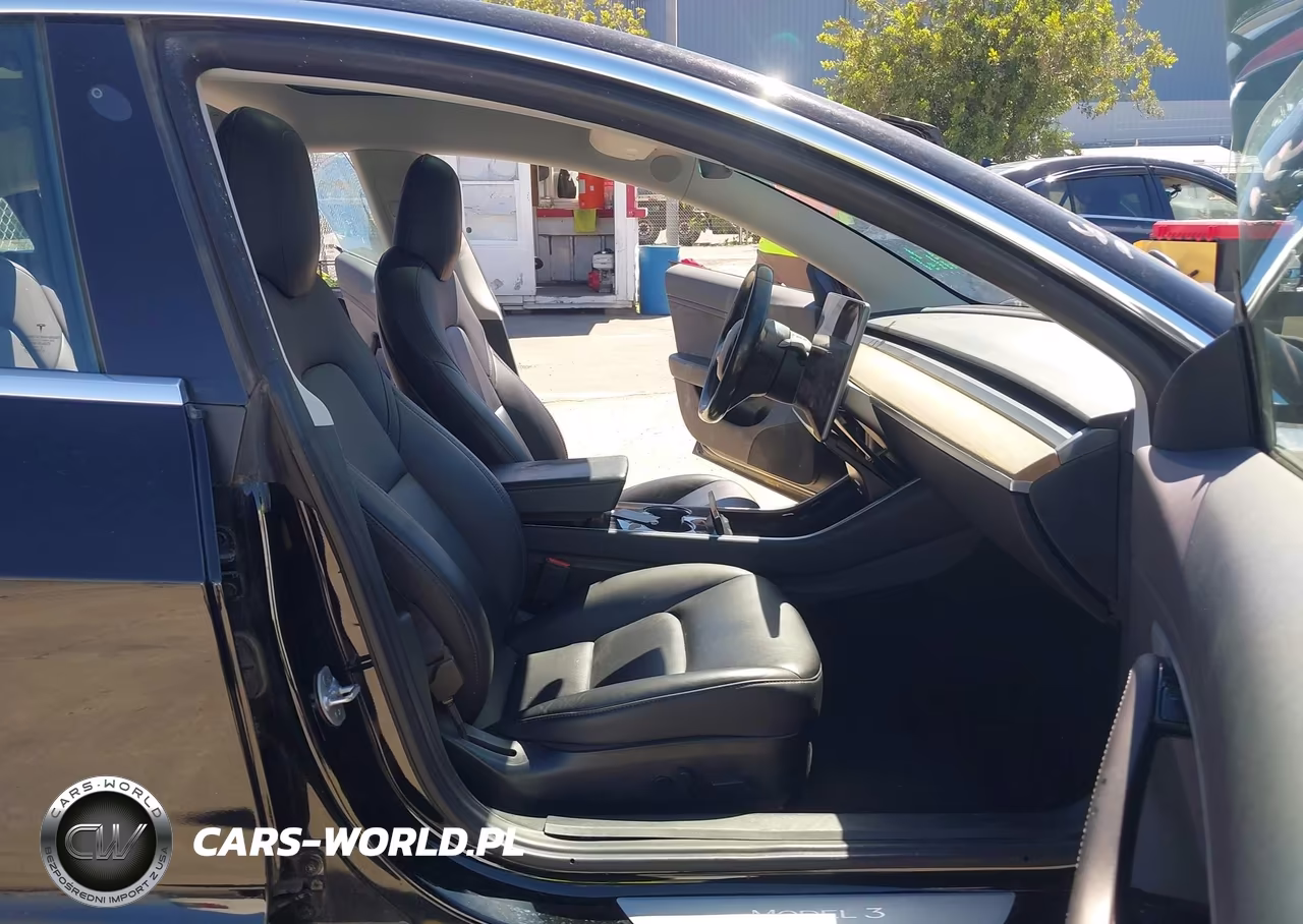 2019 Tesla Model 3 Long Range-Mid Range-Standard Range-Standard Range Plus VIN:5YJ3E1EA6KF306100 - 5