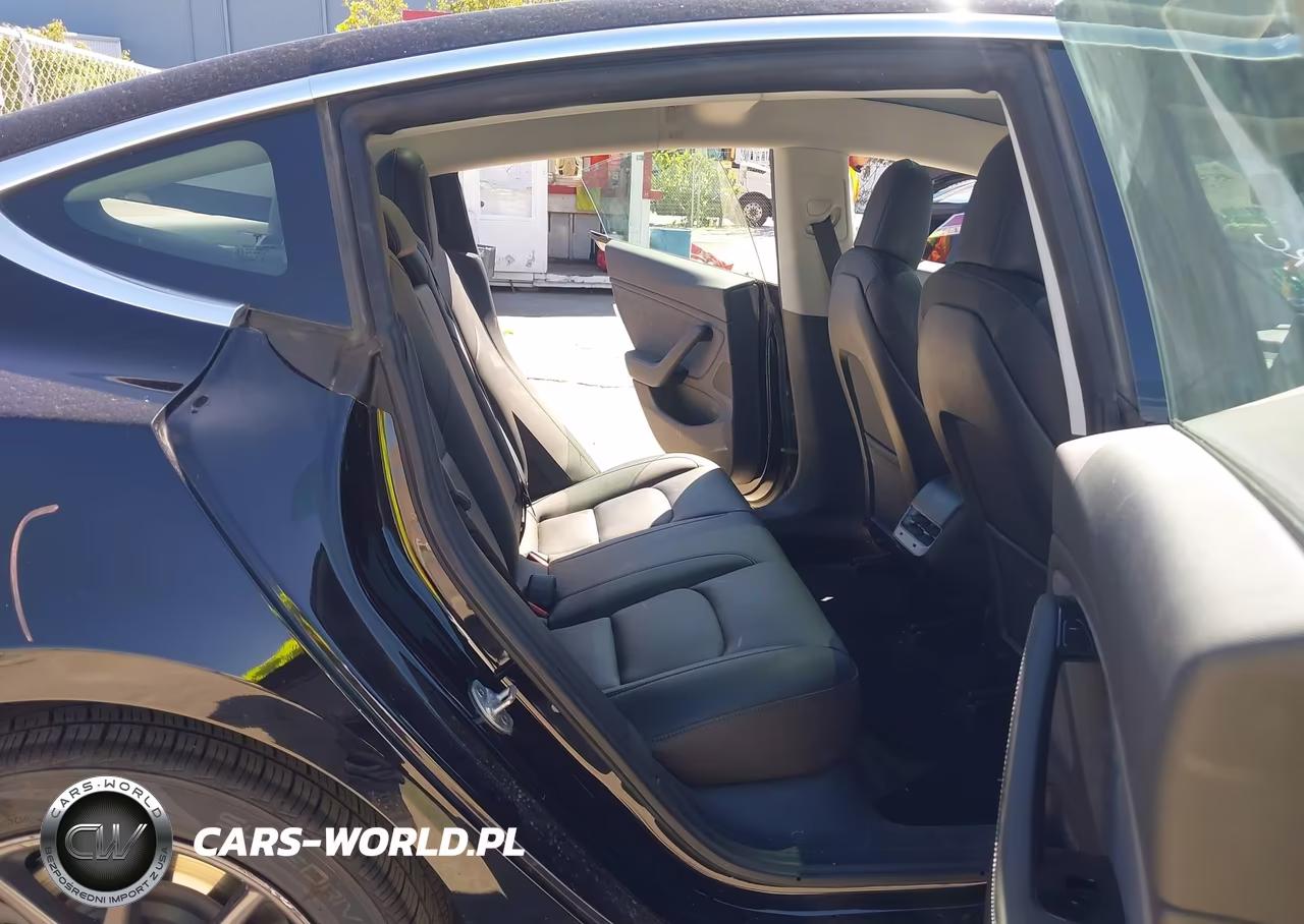 2019 Tesla Model 3 Long Range-Mid Range-Standard Range-Standard Range Plus VIN:5YJ3E1EA6KF306100 - 8