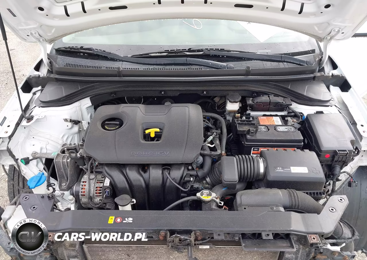 2019 Hyundai Elantra Se VIN:5NPD74LF8KH434273 - 10