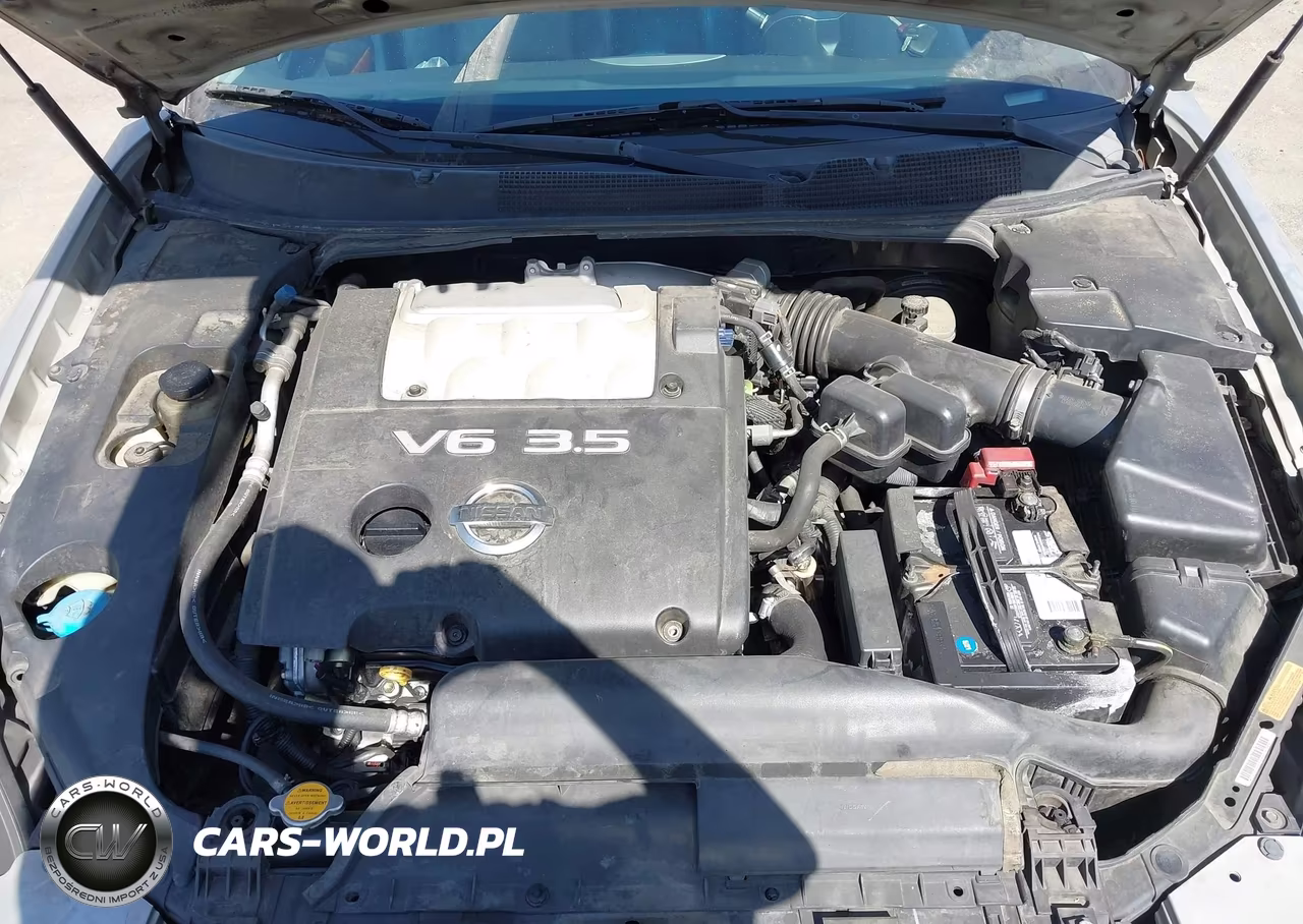 2004 Nissan Maxima 3.5 Sl VIN:1N4BA41E64C856033 - 10