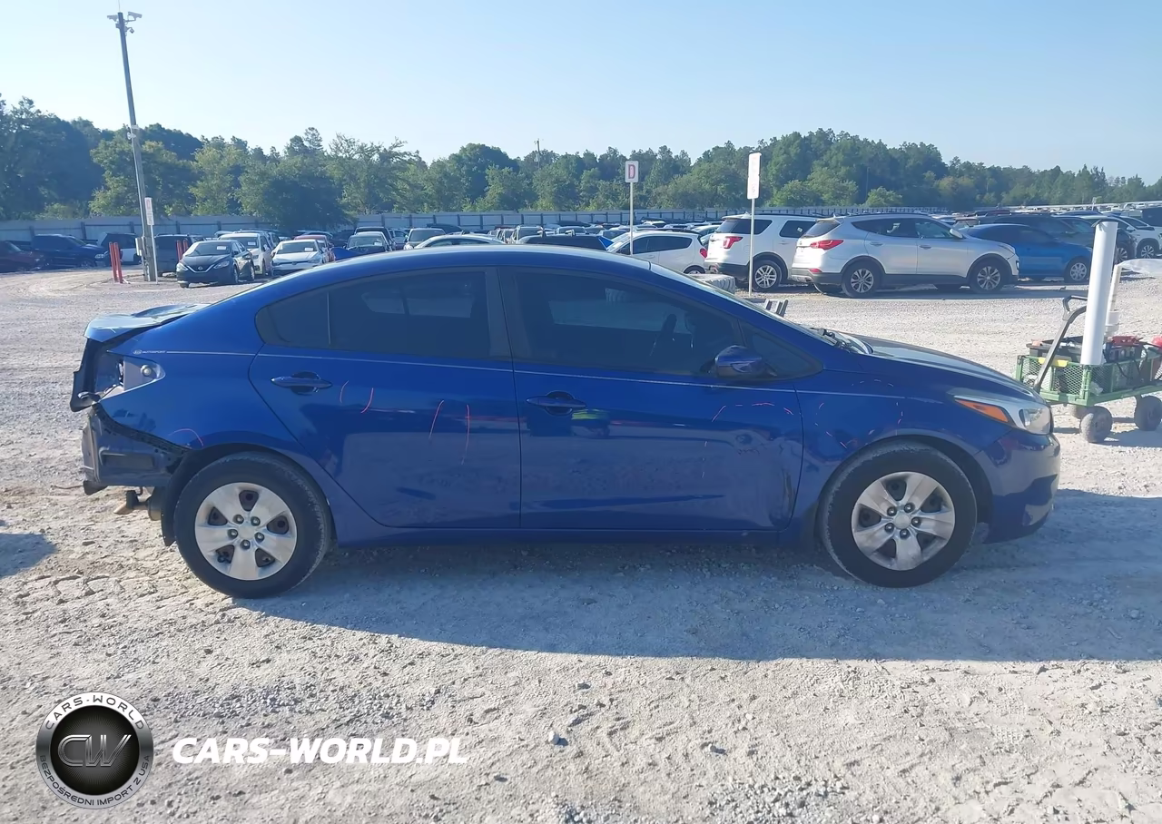 2018 Kia Forte Lx VIN:3KPFK4A70JE258857 - 13