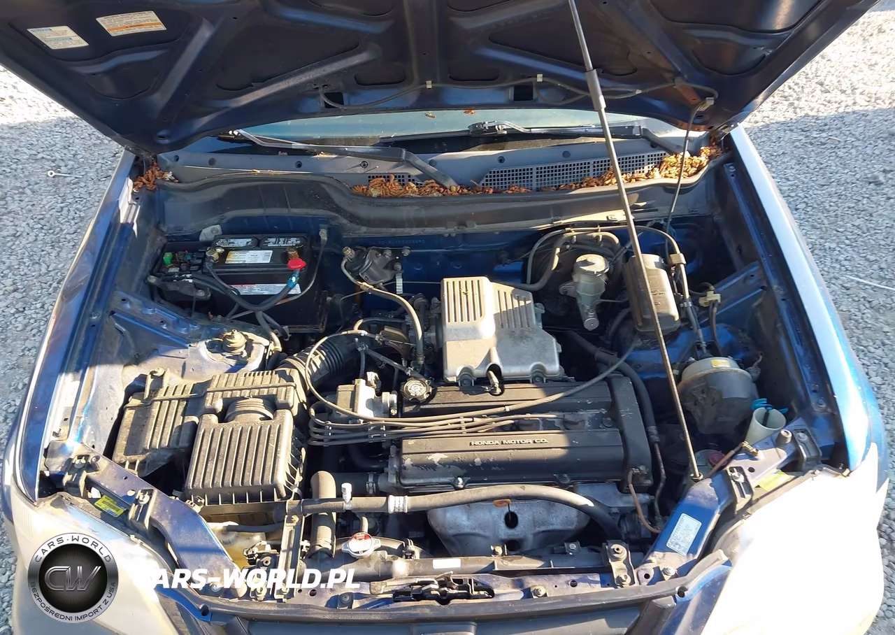 1999 Honda Cr-V Lx VIN:JHLRD1849XC002592 - 10
