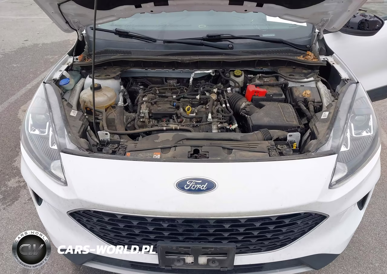 2020 Ford Escape Se VIN:1FMCU9G67LUC31244 - 10