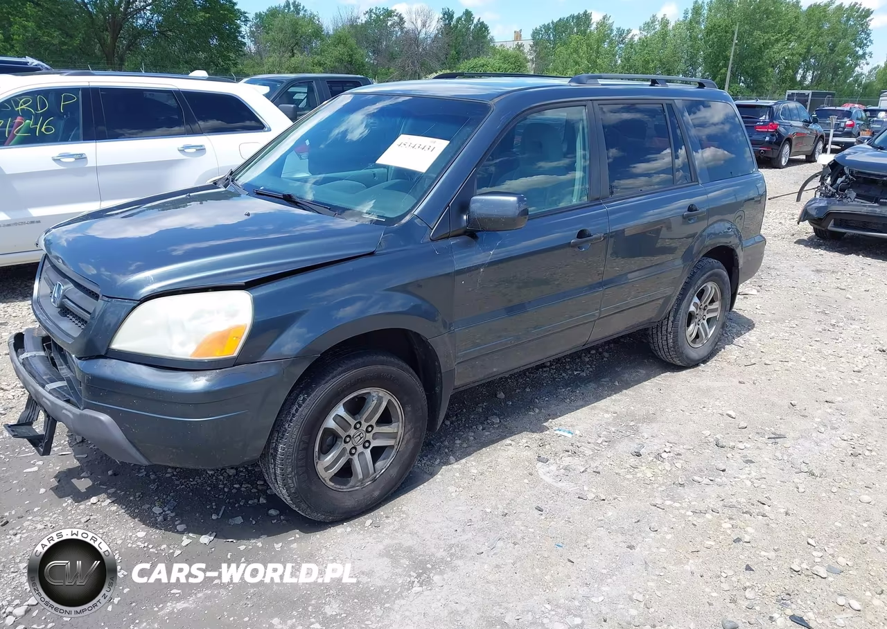 2005 Honda Pilot Ex VIN:5FNYF18405B007456 - 2