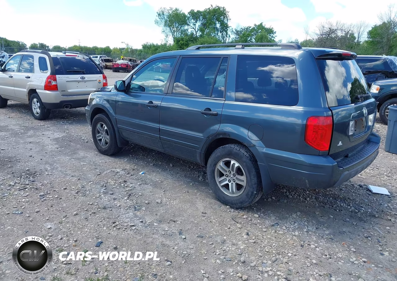 2005 Honda Pilot Ex VIN:5FNYF18405B007456 - 3