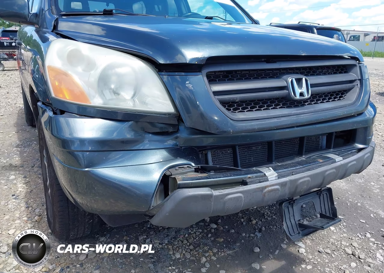 2005 Honda Pilot Ex VIN:5FNYF18405B007456 - 6