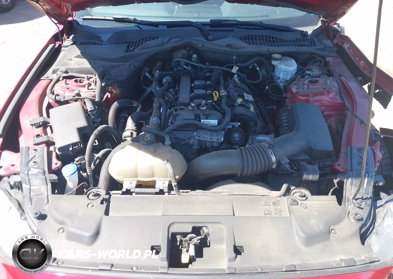 2021 Ford Mustang Ecoboost Fastback VIN:1FA6P8TH4M5114104 - 10