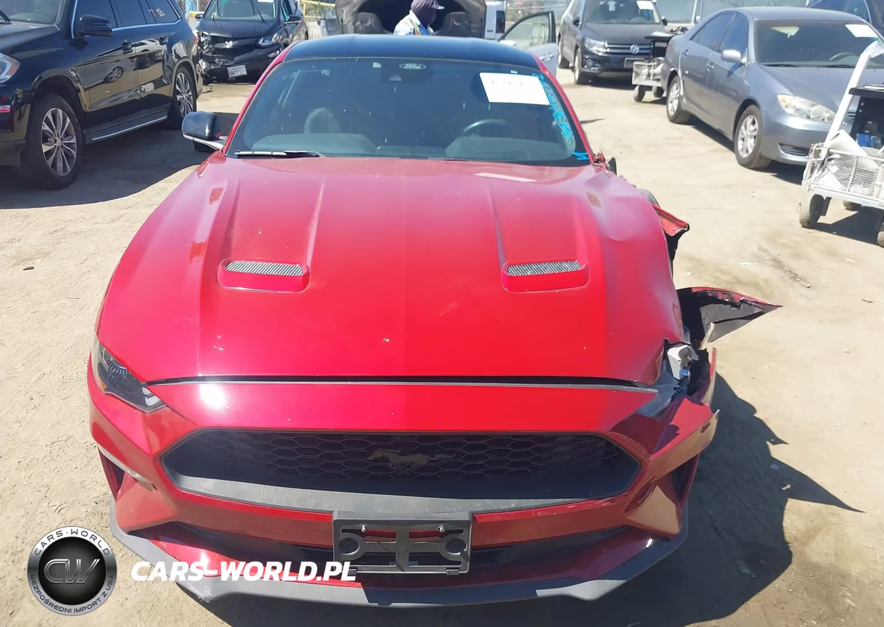 2021 Ford Mustang Ecoboost Fastback VIN:1FA6P8TH4M5114104 - 12