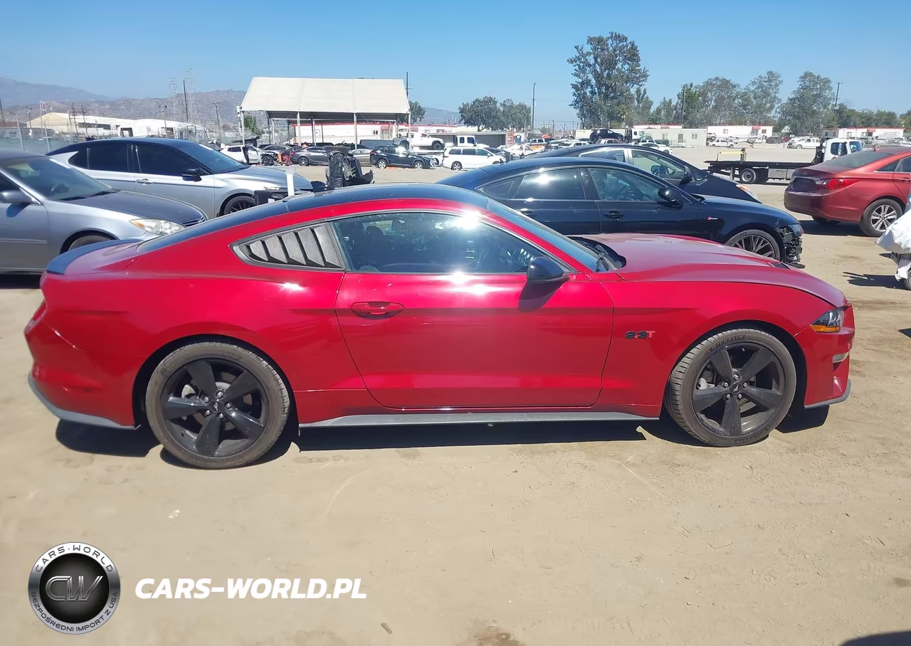 2021 Ford Mustang Ecoboost Fastback VIN:1FA6P8TH4M5114104 - 13