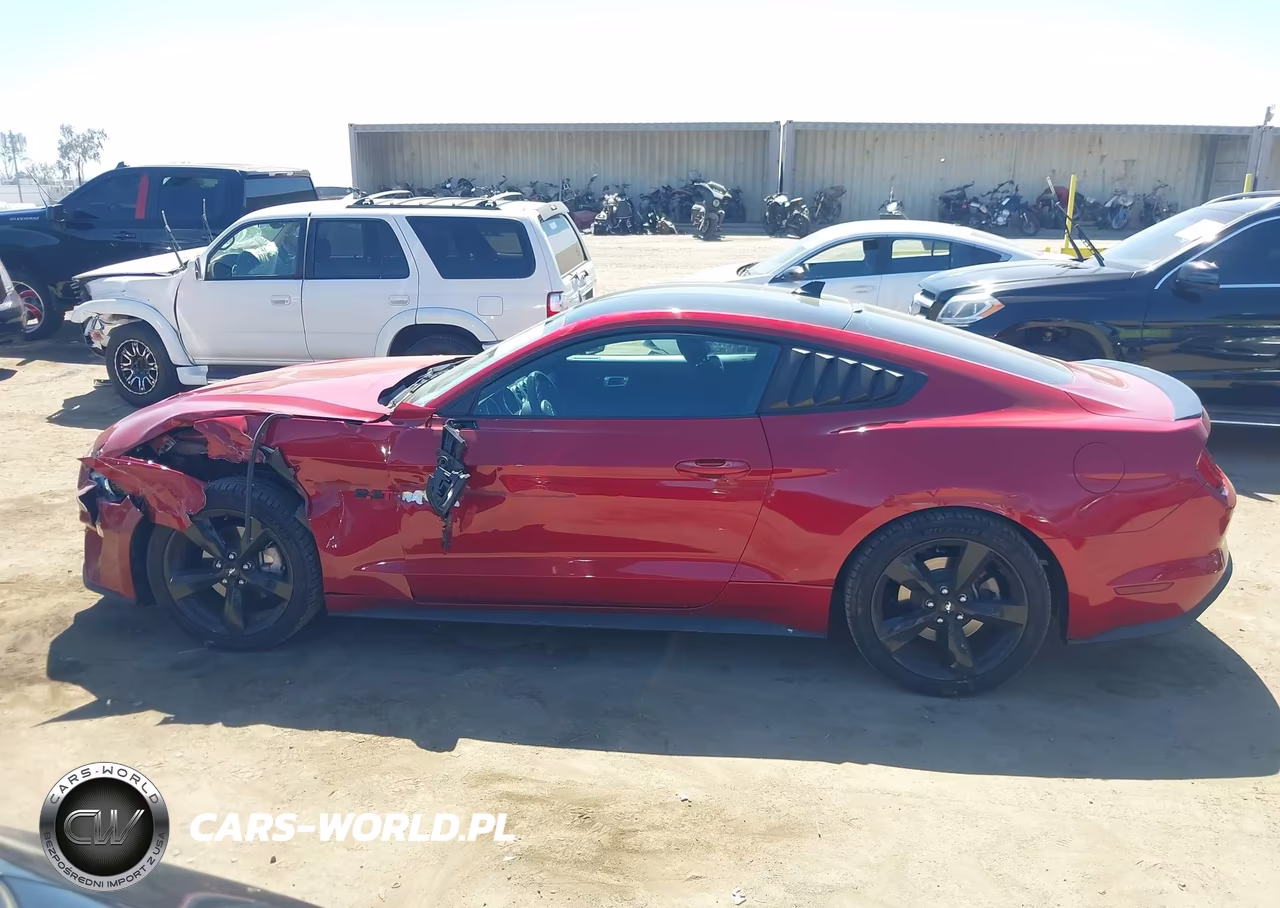 2021 Ford Mustang Ecoboost Fastback VIN:1FA6P8TH4M5114104 - 14