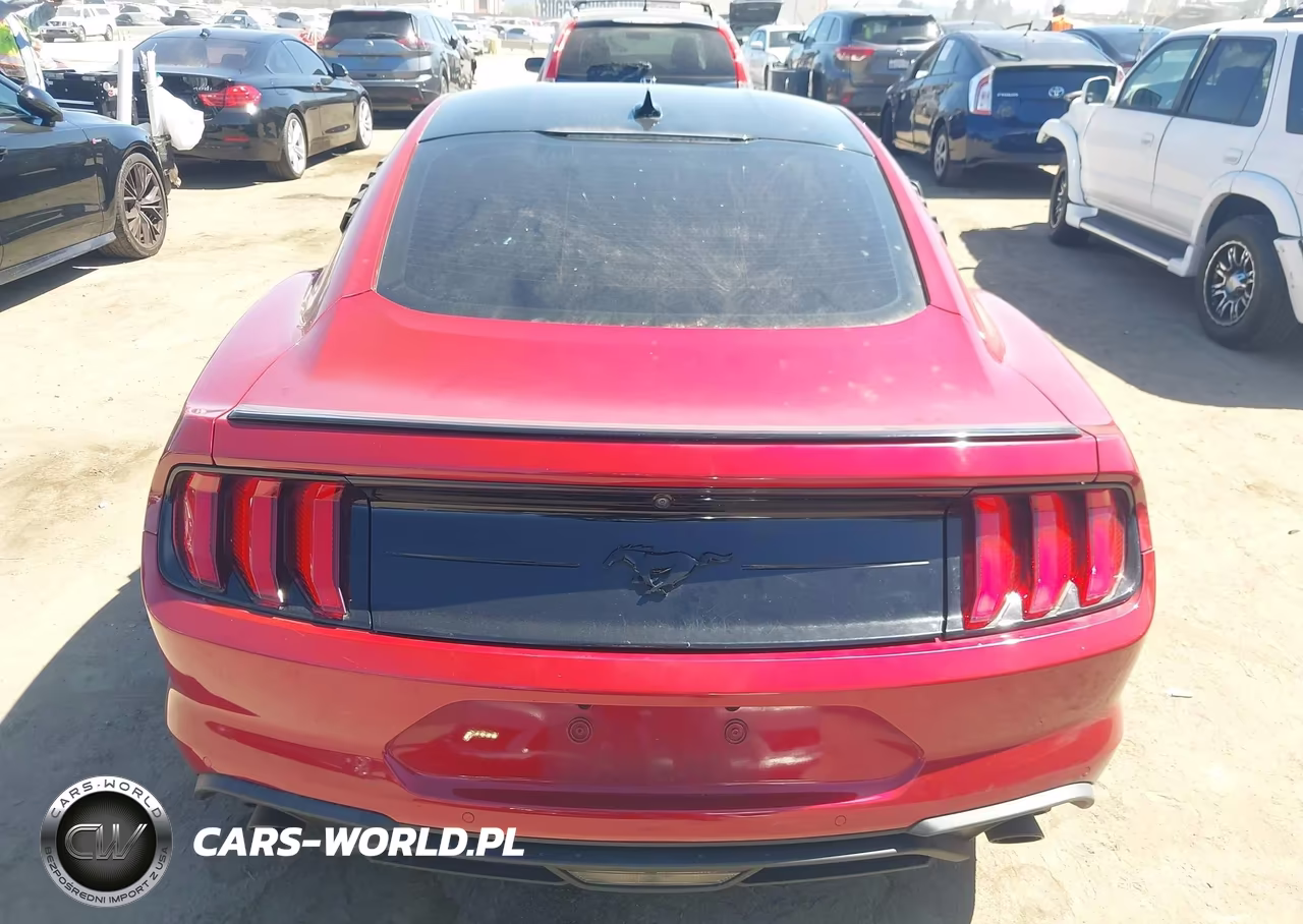 2021 Ford Mustang Ecoboost Fastback VIN:1FA6P8TH4M5114104 - 16