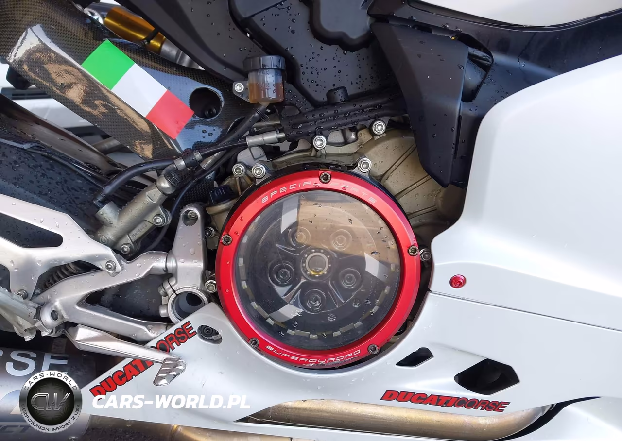 2015 Ducati Superbike 899 Panigale VIN:ZDM14BUWXFB024939 - 8