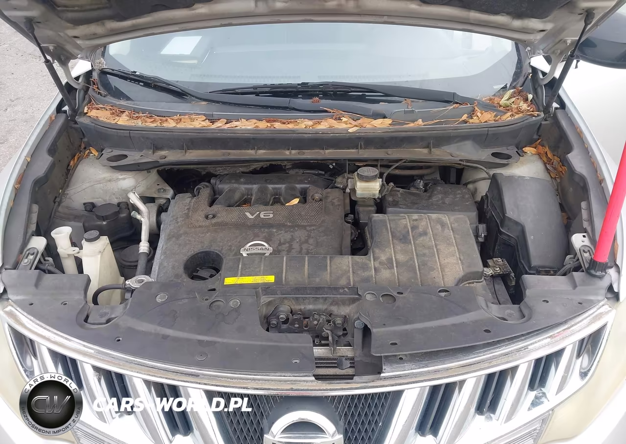 2010 Nissan Murano Sl VIN:JN8AZ1MW2AW110209 - 10