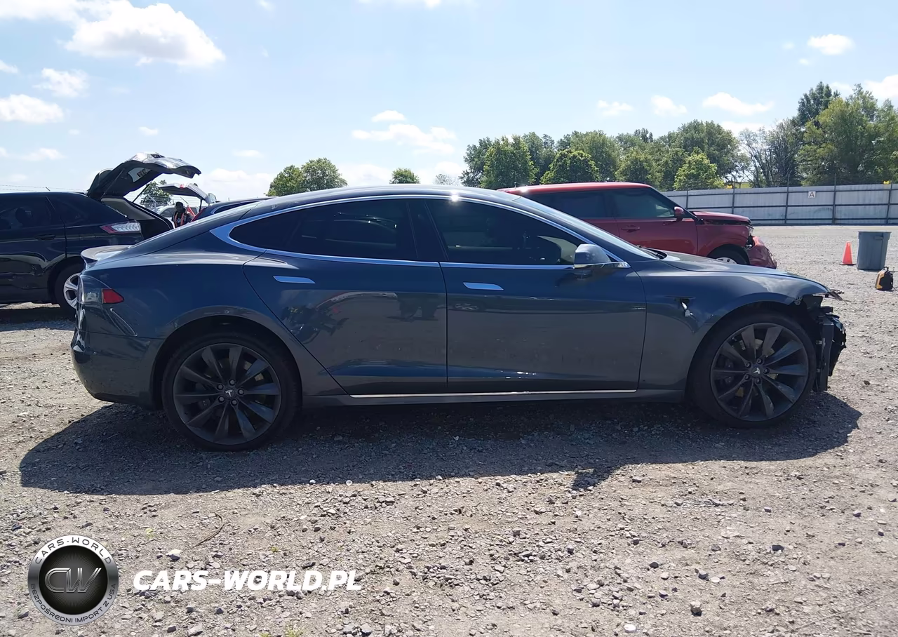 2017 Tesla Model S 100D-60D-75D-90D-P100D VIN:5YJSA1E20HF224629 - 14
